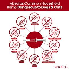 Vetanica PawMergency tube-open demonstrating paste form for easy administration