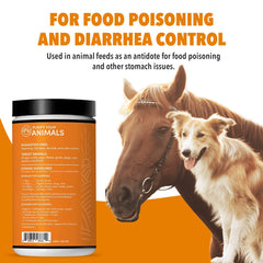 VetDtox Activated Charcoal Powder with cat bowl for simple diet mixing.
