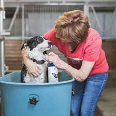 Vetericyn FoamCare pet bathing routine image shows convenient all-in-one wash for dogs and cats.
