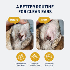 Veterinary Formula Ear Therapy drops being applied to the ear canal for cleansing.