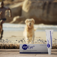 VetEye eye ointment for birds helps maintain eye comfort and hygiene.