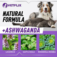 Vetflix Balance drops cat scene shows easy supplementing for felines