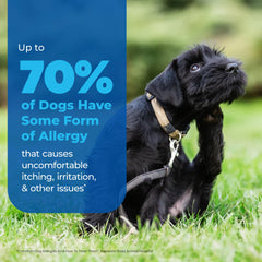 Oat extract visual showing soothing oatmeal ingredient in Dermabliss