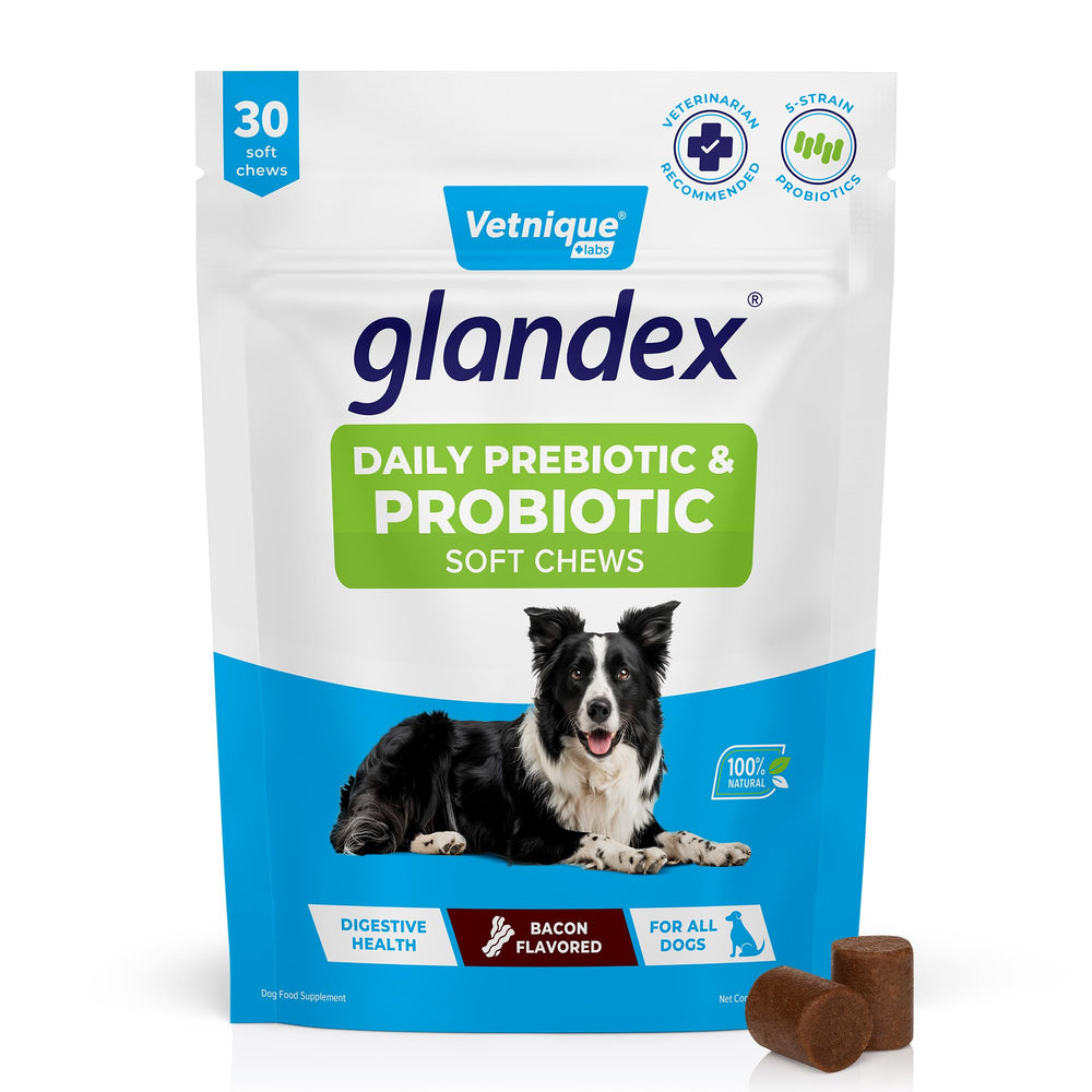 Vetnique Glandex bacon-chews bottle showcasing a tasty daily probiotic for dogs
