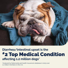 Vetnique Glandex daily probiotics for dogs enzyme blend graphic highlights digestive health support.