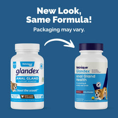 Vetnique Glandex powder pumpkin-seed-ingredients highlighting natural fiber