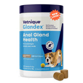 Vetnique Glandex pumpkin in bowl supports digestive comfort