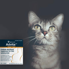 Vet One Advita powder in cat food bowl for easy daily administration