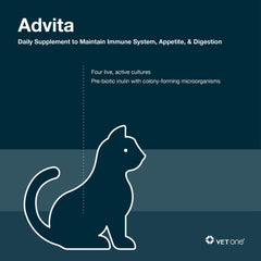Vet One Advita powder packets close-up highlights microencapsulated delivery