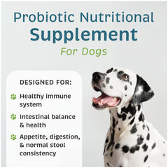 VetOne Advita probiotic packets side view, easy-to-use daily supplement for digestion