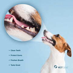 Vet One DuoClenz dog chewing action demonstrates abrasive texture aiding plaque removal.