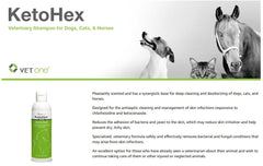 VetOne KetoHex shampoo during dog bath-time action suggests odor control.