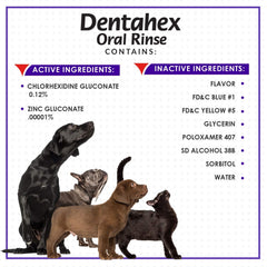 Vetoquinol Dentahex mouth spray offers convenient oral hygiene with pleasant taste