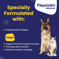 Vetoquinol Flexadin Advanced cat chew close-up illustrating feline joint comfort potential.