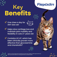 Vetoquinol Flexadin cat hip chew being offered to a cat for daily joint care
