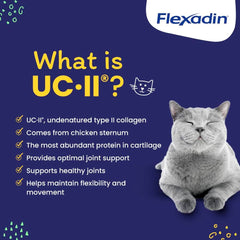 Vetoquinol Flexadin cat hip chew packaging highlights omega-3 and vitamin E
