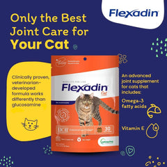 Vetoquinol Flexadin cat hip chew UC-II closeup highlighting joint support