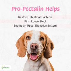 Vetoquinol Pro-Pectalin Paste application shows easy direct dosing for dogs and cats.