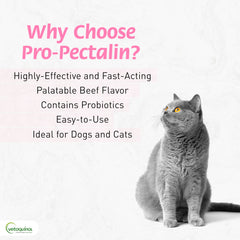 Vetoquinol Pro-Pectalin tablets ideal for cats and dogs during upset digestion.