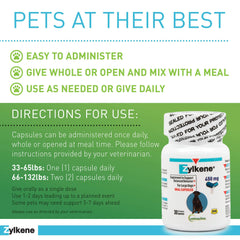 Vetoquinol Zylkene dog food mixing shows simple administration for calmer days.