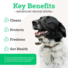 VetPro Complete Dental Sticks label close-up showing prebiotics for gut-supporting potential.
