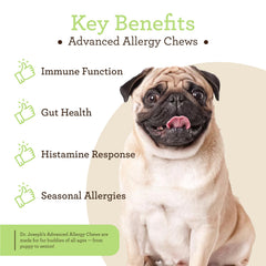 VetPro Complete probiotic chews with dog bowl background for healthy digestion and gut balance
