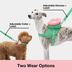 VETRESKA Flora collar ajustable, ajuste cómodo para diferentes medidas de cuello