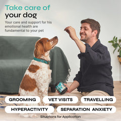 Dog enjoying a Vetrica calming chew, illustrating bite-sized reward