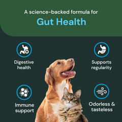 VetriScience Gut Health Powder packaging shows odorless formula for discreet use.