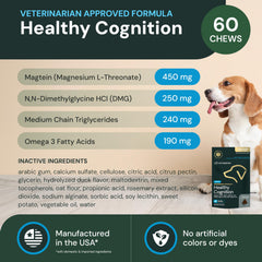 VetriScience Healthy Cognition chews dog after walk ready for rest.