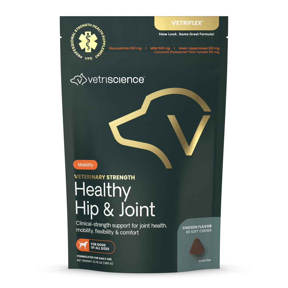 VetriScience Healthy Hip & Joint Chews bottle promotes daily joint support for active dogs.