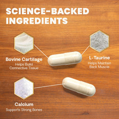 VetriScience Healthy Spine & Disc capsules hidden in a treat for easy administration.
