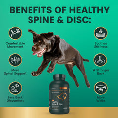 VetriScience Healthy Spine & Disc ingredient close-up highlighting chondroitin source.