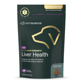 VetriScience Liver Health Chews bottle-front showing veterinary-strength liver support for dogs.
