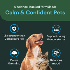 VetriScience Max Calm Chews cat snuggle after calming treat.