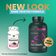 VetriScience probiotic multi-strain bottle highlights dairy-free formula.