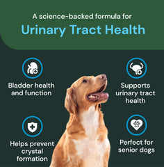 VetriScience UT Health Chews cranberry powder scene demonstrates natural ingredients for pets