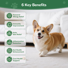 Vetriuntrix Dog Allergy Chews bottle closeup highlights omega-3 and probiotics for skin and immunity.