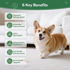 Vetriuntrix Dog Allergy Chews jar closeup highlights 120-chew supply ideal for long-term paw health and coat