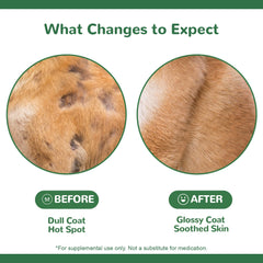 Vetriuntrix Dog Allergy Chews paw-licking scene suggests relief potential as part of a balanced routine