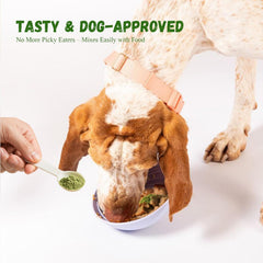 Vetriuntrix probiotic dental powder label closeup emphasizing plant-based gentle ingredients.