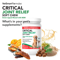 VetSmart soft chews shown as a tasty daily treat for mobility