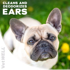 VetWELL Ear Cleaner label closeup highlighting aloe vera and ear deodorizing properties.