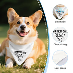 Vgrti dogs-wedding-bandana-outfit adds instant style for the ceremony