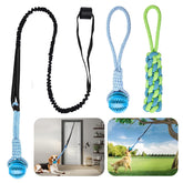 VibeVerve dog-bungee-ball in action, bouncing for interactive play with a small dog