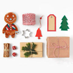 Vicarko gingerbread-man dog toy with squeaker inside showing interactive play motivation