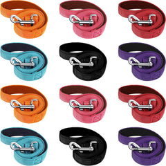 Vicenpal double-sided reflective dog leash shows night visibility for safe walking