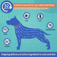 VICSOM adjustable dog flea collar demonstrates secure, comfortable wear during activity.