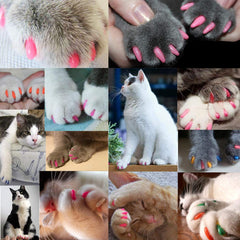 VICTHY cat nail caps adhesives close-up highlighting safe non-toxic bonding for secure fit