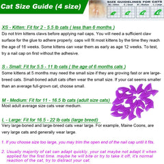 VICTHY nail caps applicators set, showing easy application tips